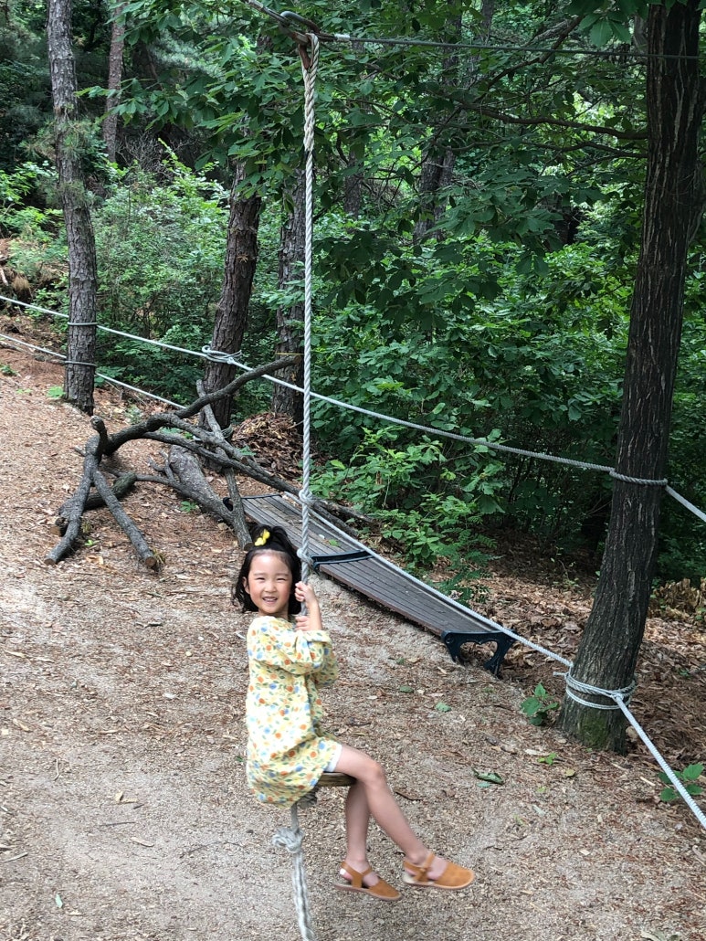 이천시 유아숲체험원 이미지