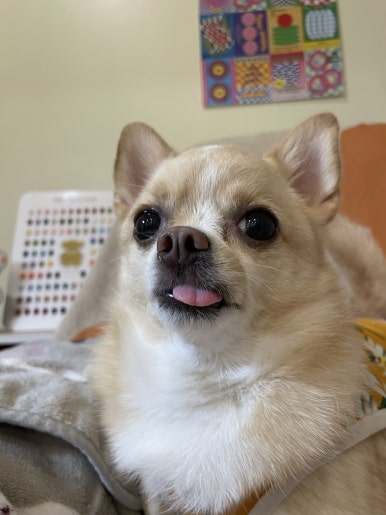 네일모네 이미지