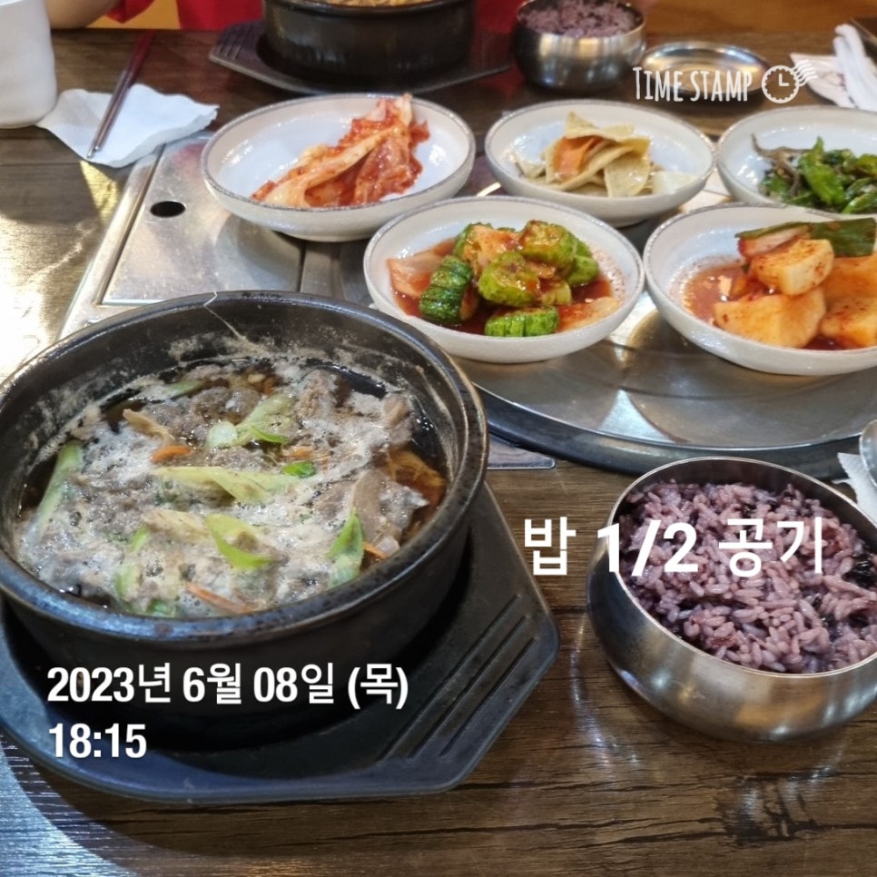 로하핏스튜디오 이미지