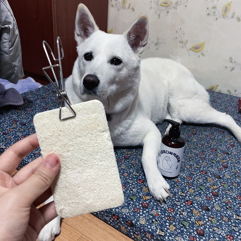 해피모꼬지 이미지
