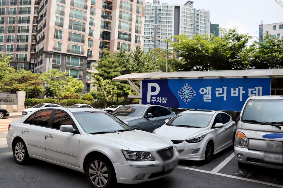미장홍정 이미지