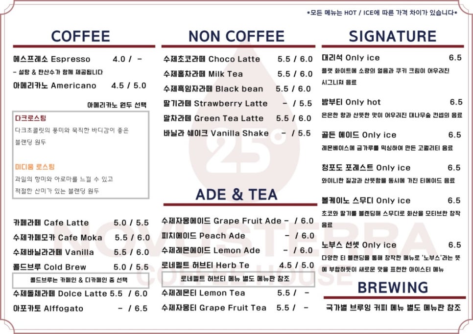 노부스테라 이미지