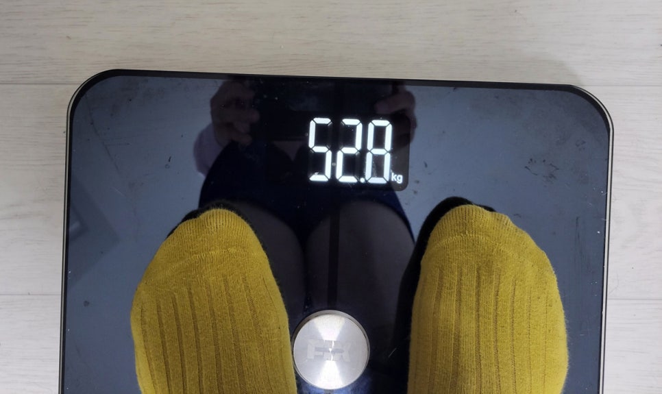 (주)바이오셀 이미지