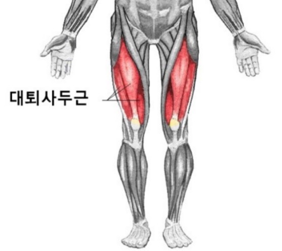 나이스프레스 이미지