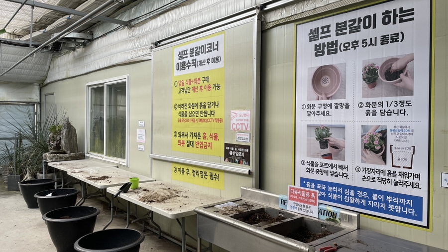 식물하나담다 이미지