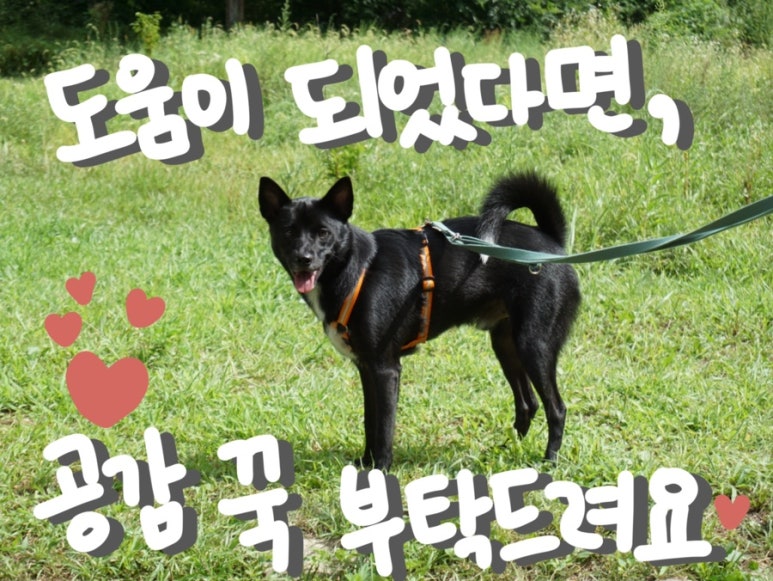 뷰메이드 이미지