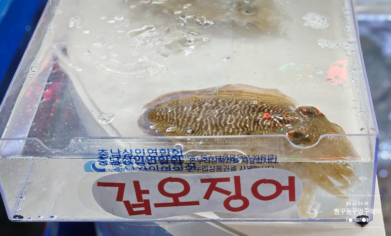 야옹수산 이미지
