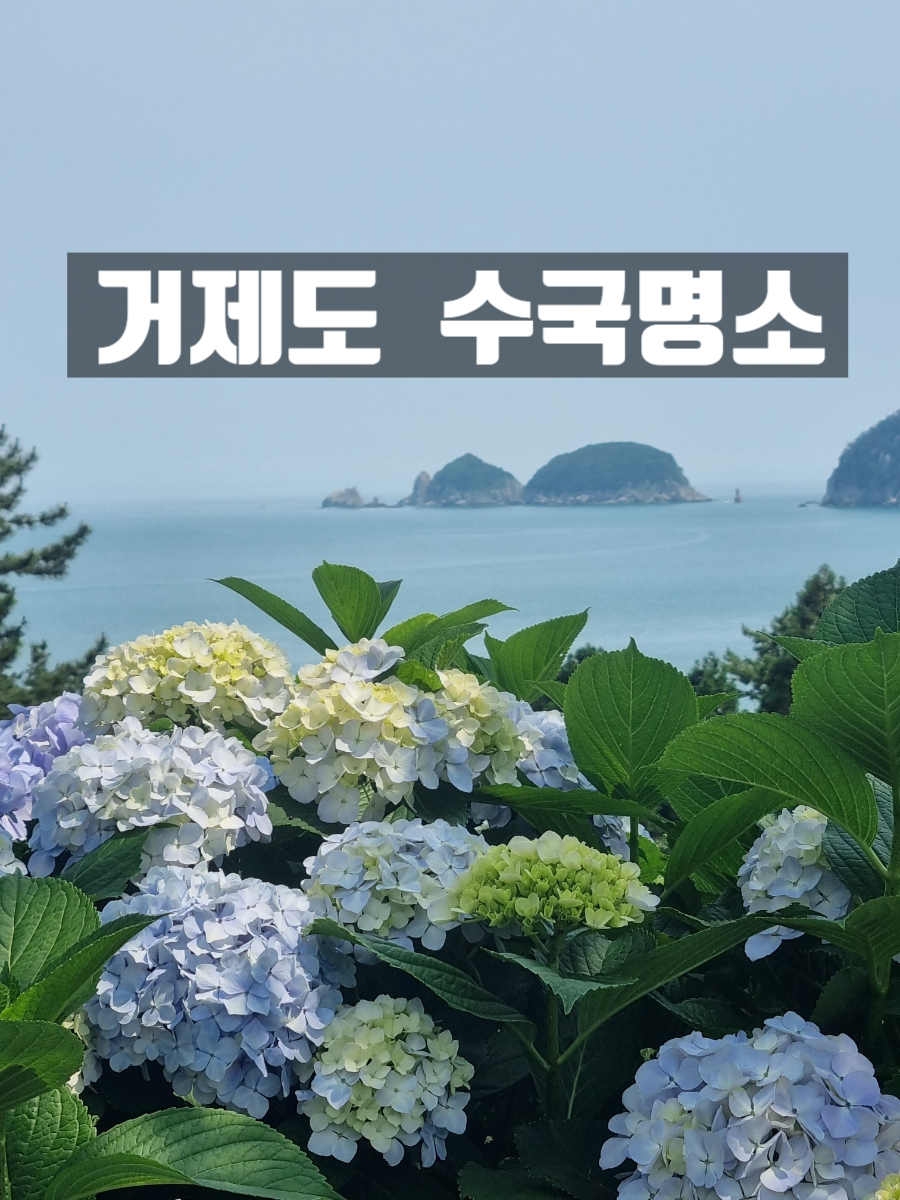 썬트리 트래블 이미지