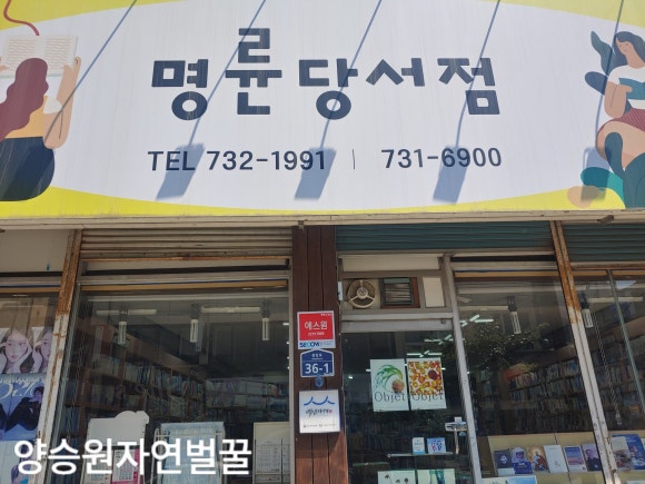 명륜당서점 이미지