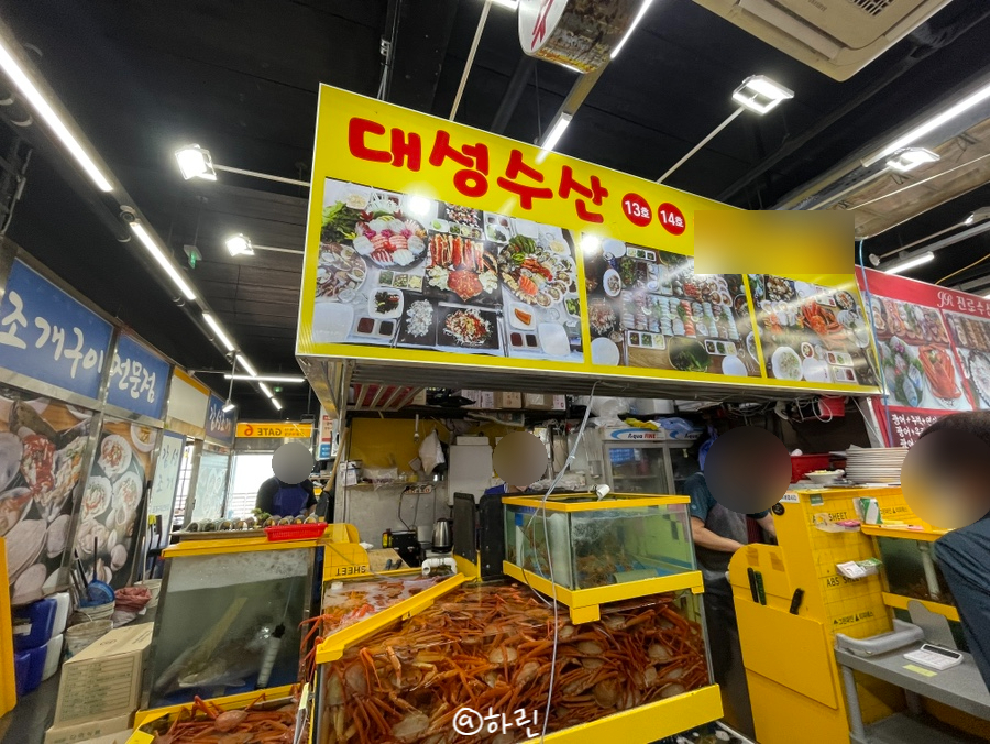 대성수산14호 이미지