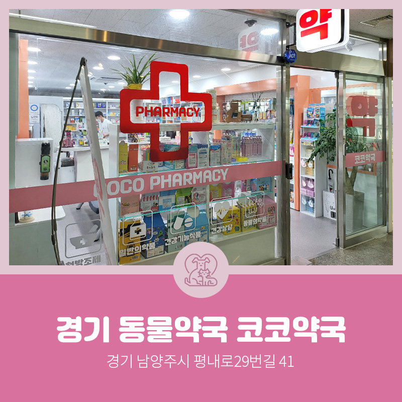 코코약국 이미지
