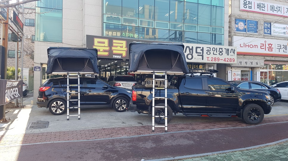 슈퍼텐트칼라 이미지