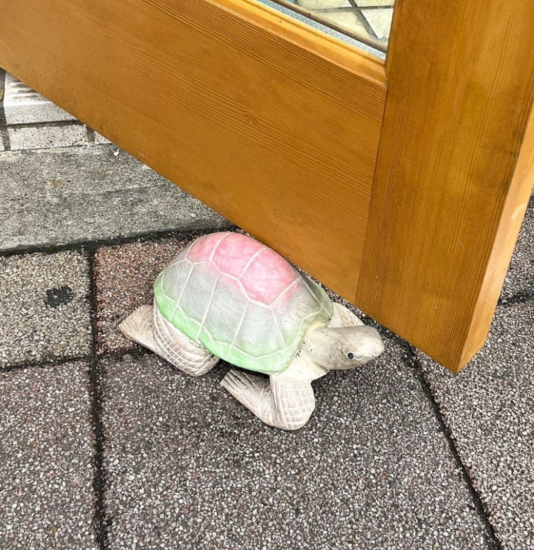 디디딥 이미지