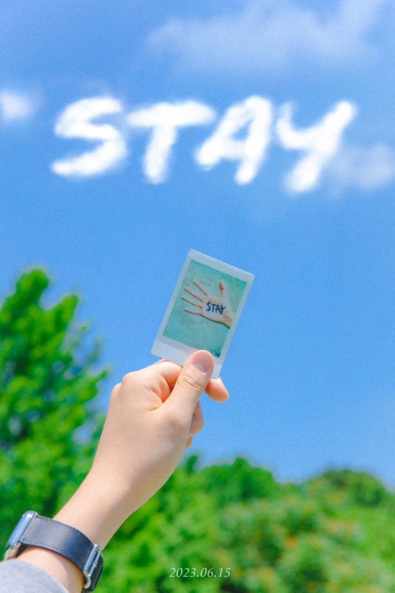 밀밀 이미지