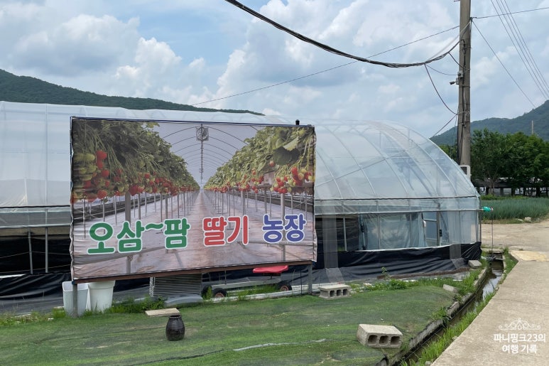 오삼~팜 이미지