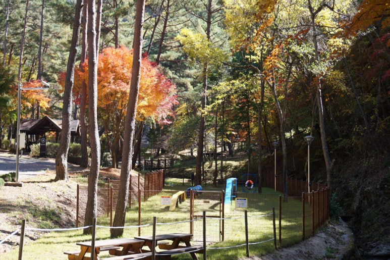 국립검마산자연휴양림 이미지