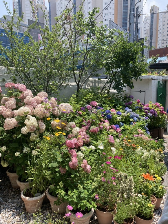카페서로 이미지