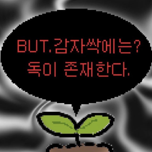 오잉키 이미지