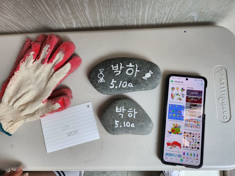 인어루트 이미지