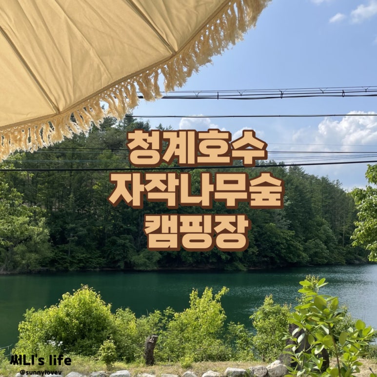 청계호수자작나무숲캠핑장 이미지