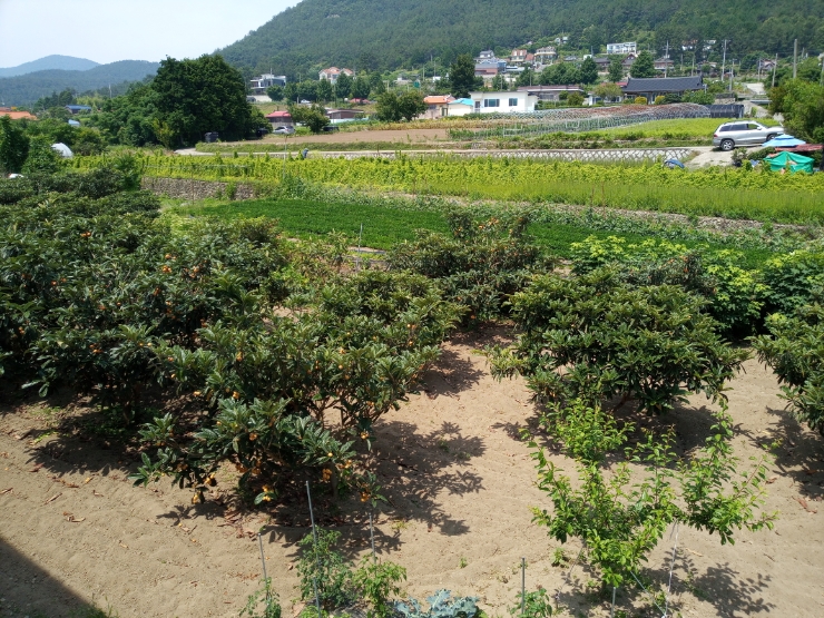 미영이미장원 이미지