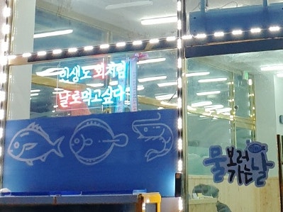 물보러가는날 이미지