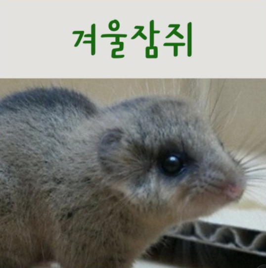 나인틴스 이미지