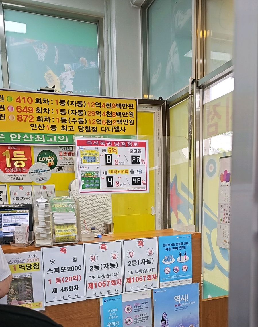 다니엘사 이미지
