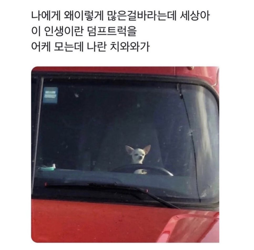 아트스시 이미지