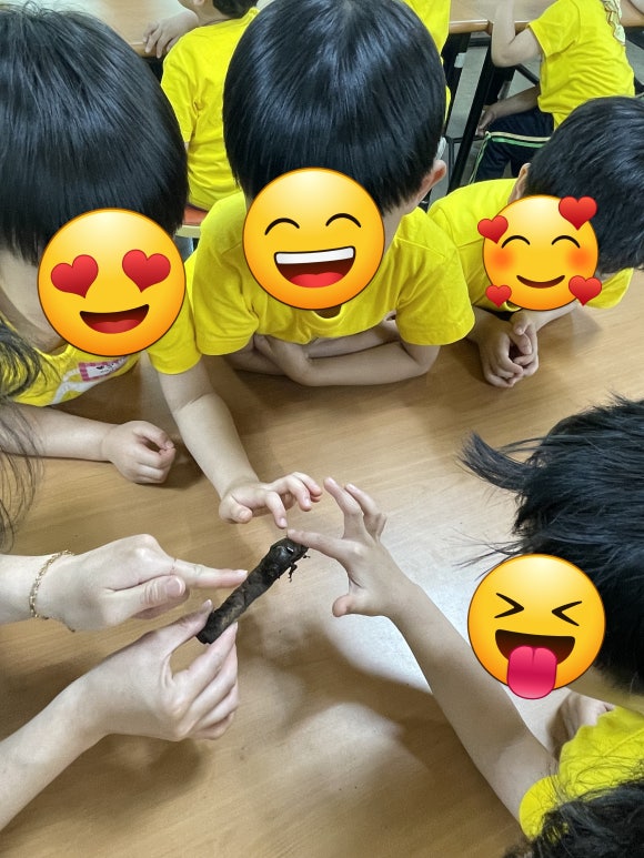 오세창곤충체험농장 이미지