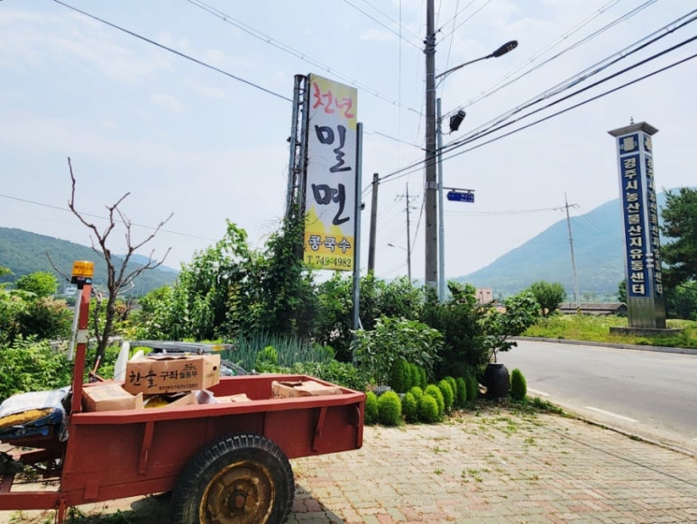 천년밀면 이미지