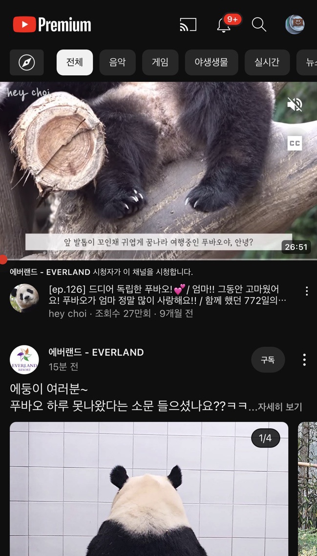 (주)투어리스트 이미지