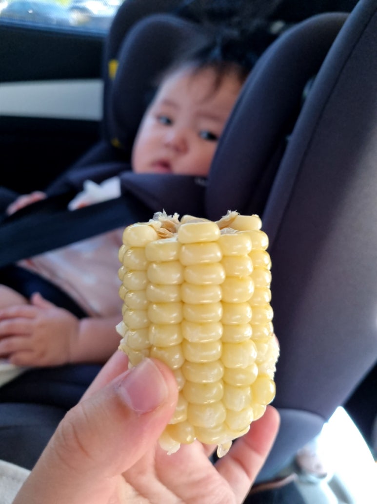 내린천용오름마을 이미지