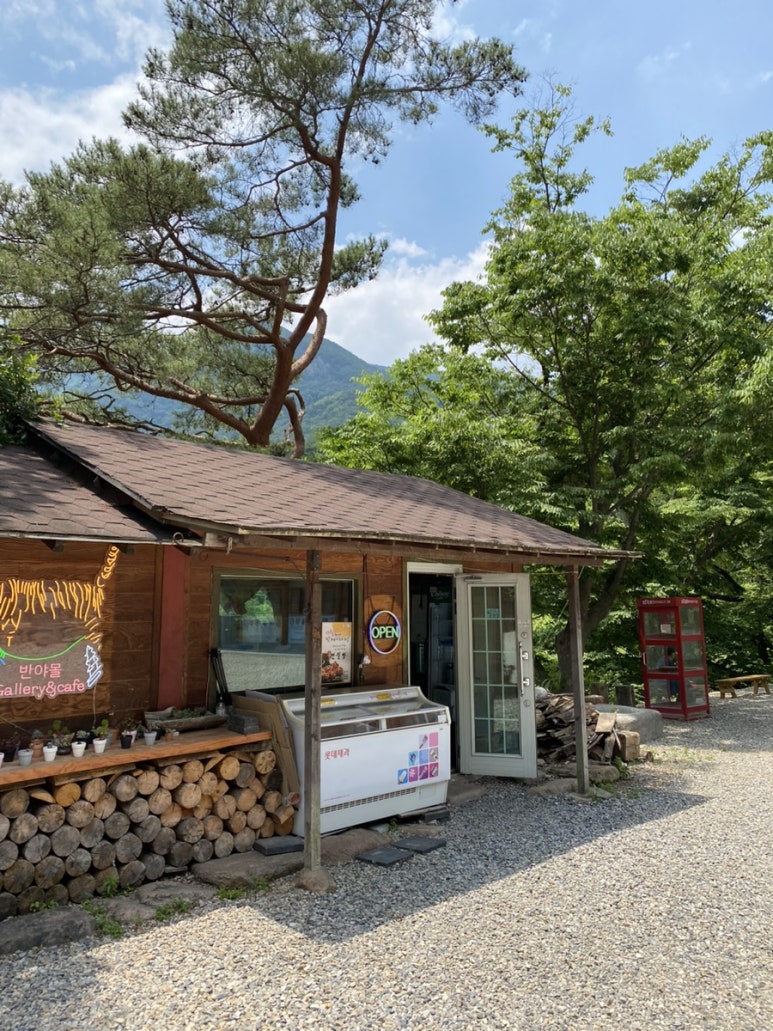 반야몰 이미지