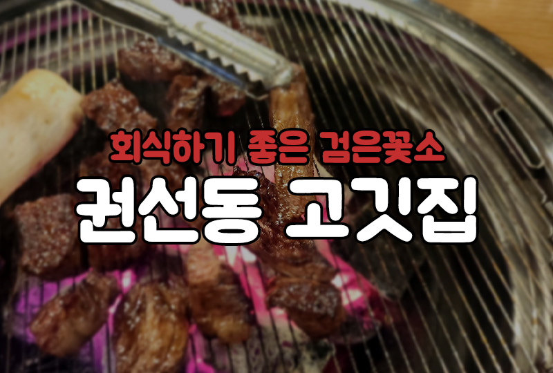 검은꽃소 이미지