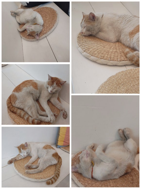 커피니스트 이미지
