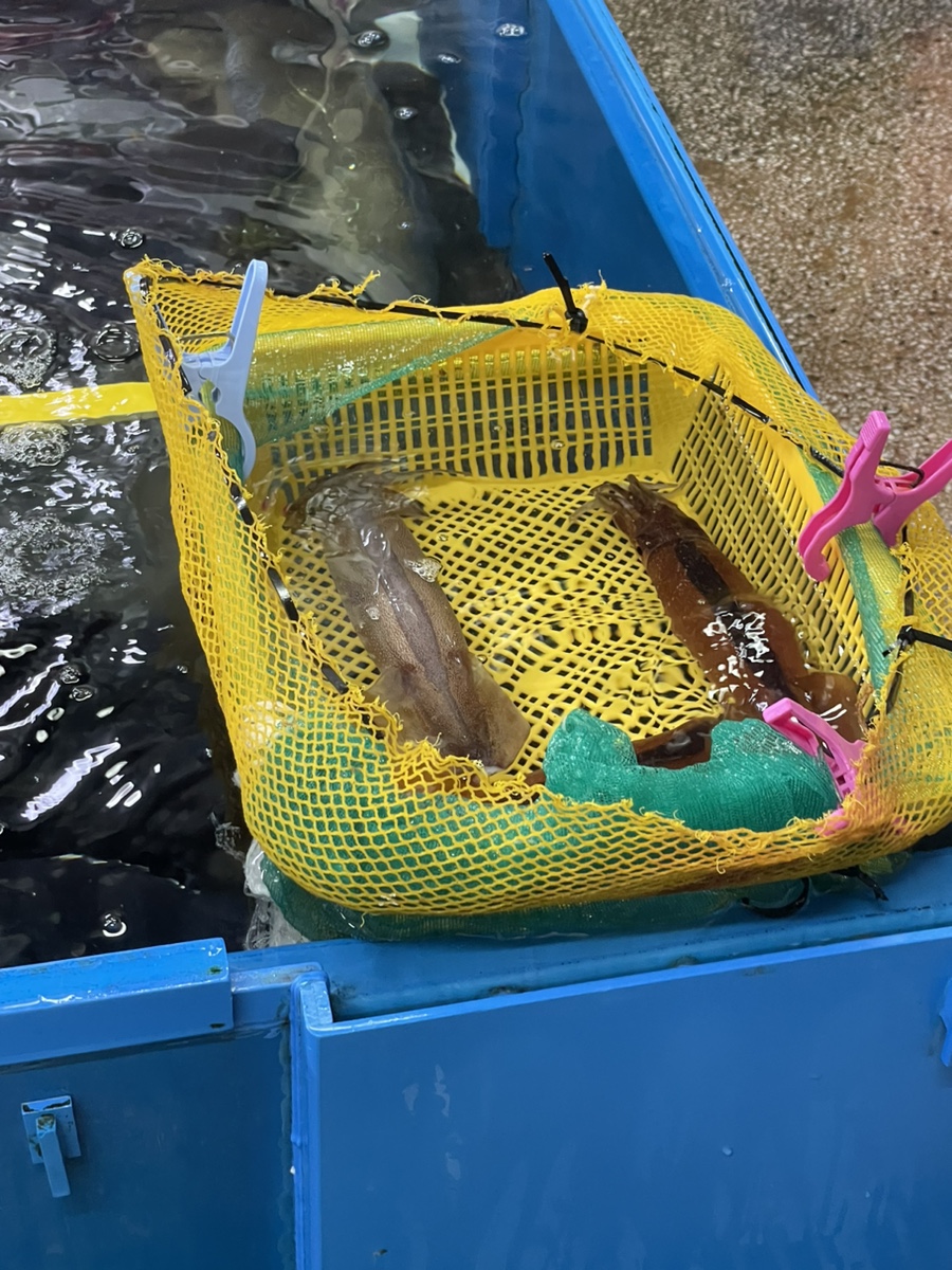 해진상회 이미지