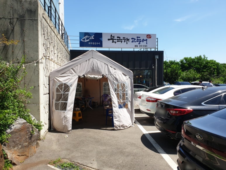 북극해고등어 이미지