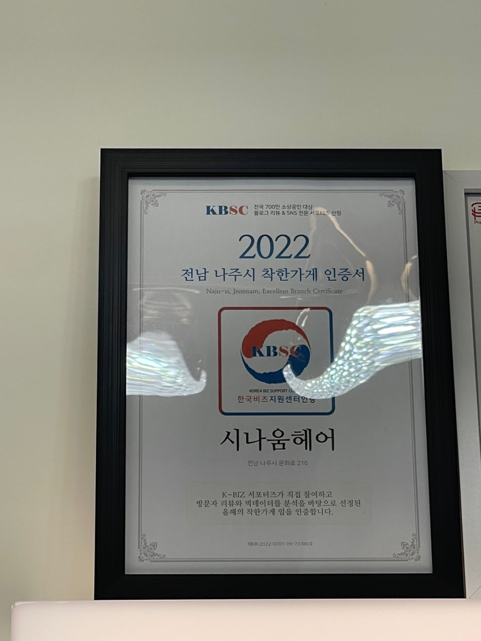 시나움 이미지