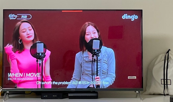 더함투어 이미지