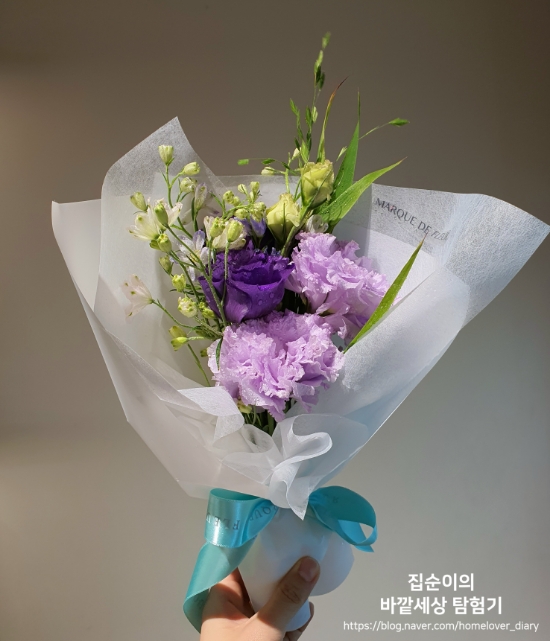 마끄드플레르 이미지