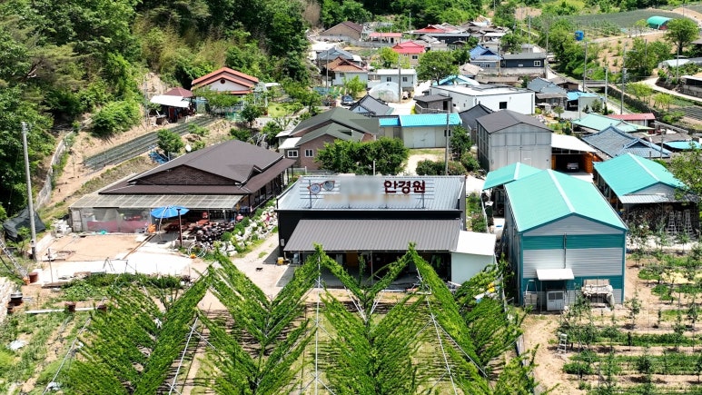 청송손칼국수 이미지