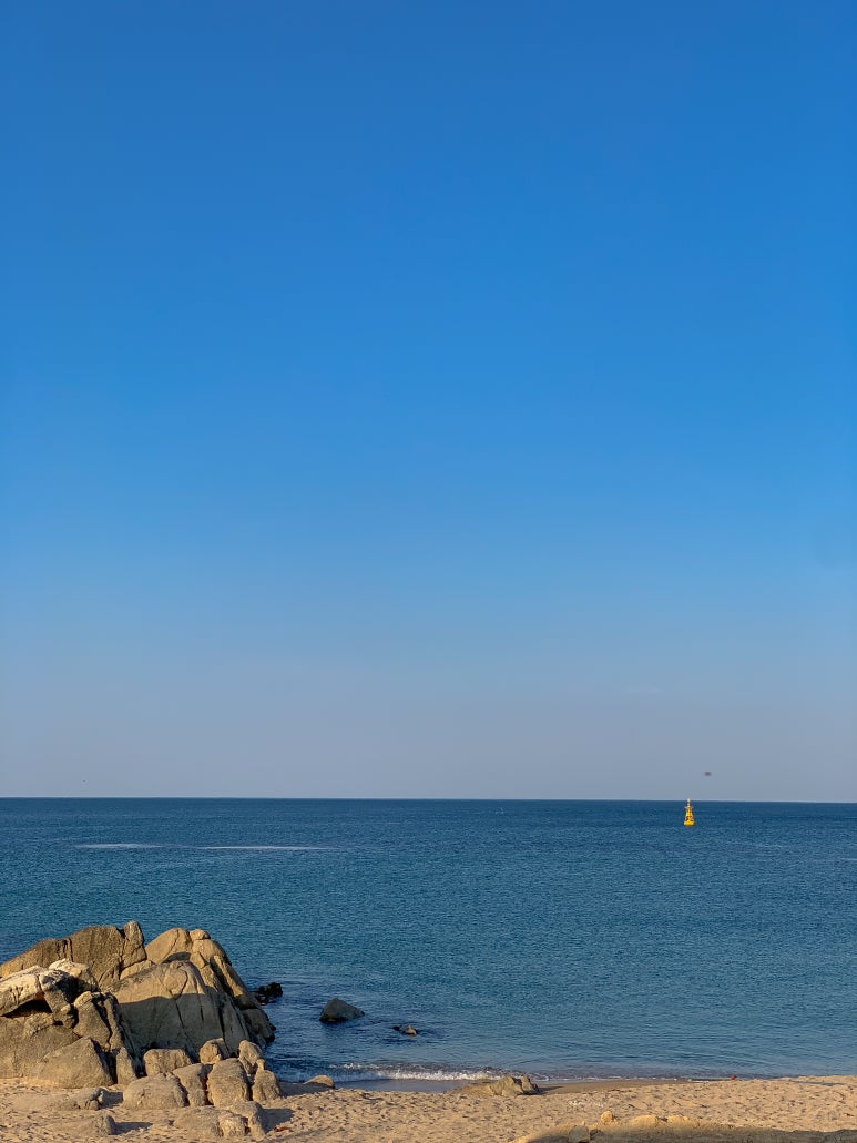 진상회 이미지