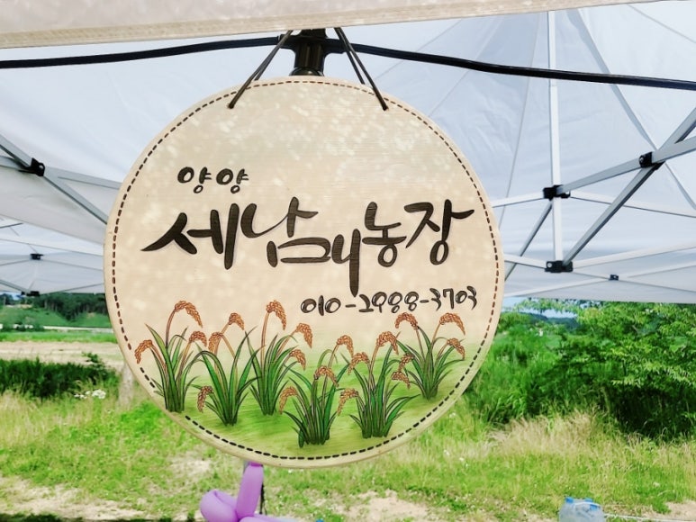 양양 세남매농장 떡볶이 이미지
