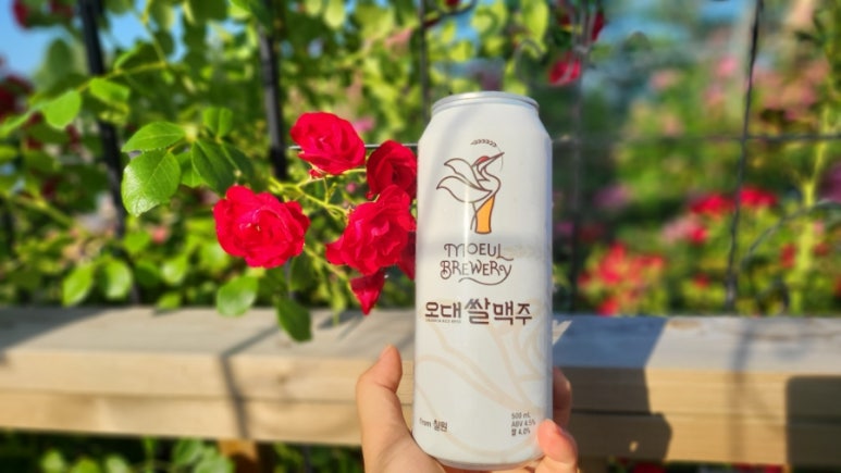 오대치킨 이미지
