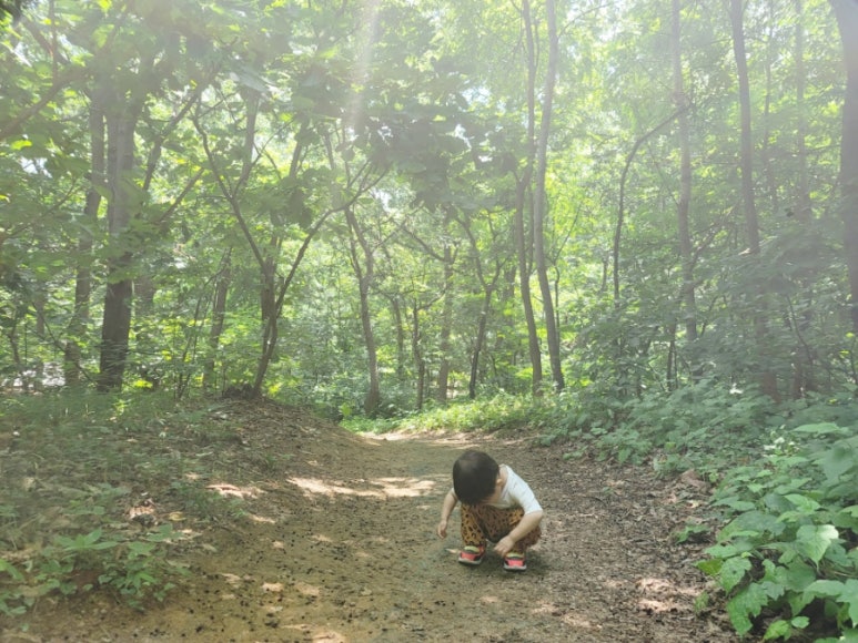 명일공원 유아숲체험원 이미지