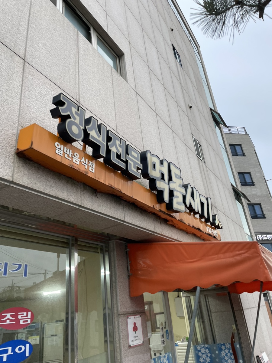먹돌새기 이미지