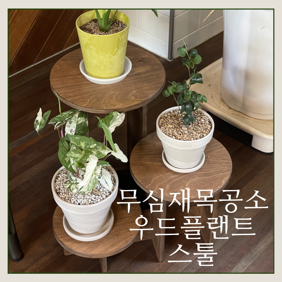 제스트커피로스터즈 이미지