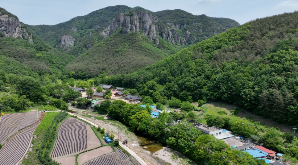 주왕산농원식당 이미지