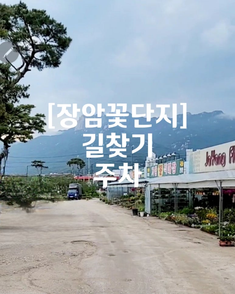 꽃단지농원 이미지